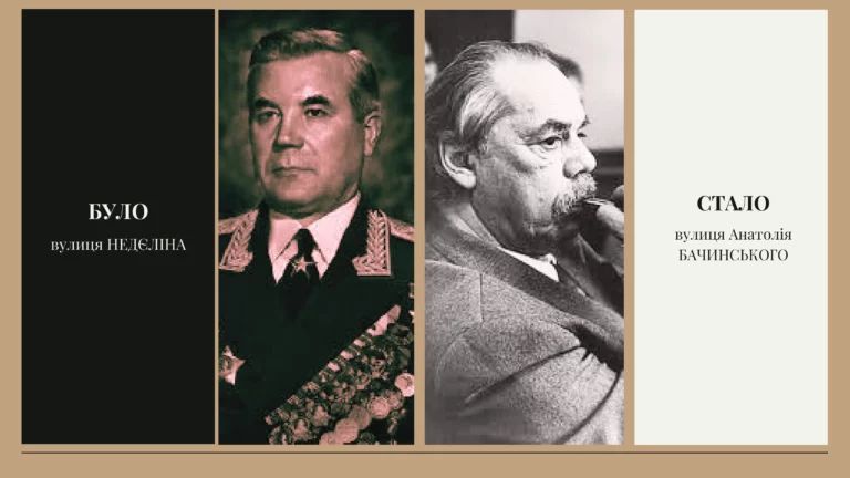 Анатолія БАЧИНСЬКОГО 768x432