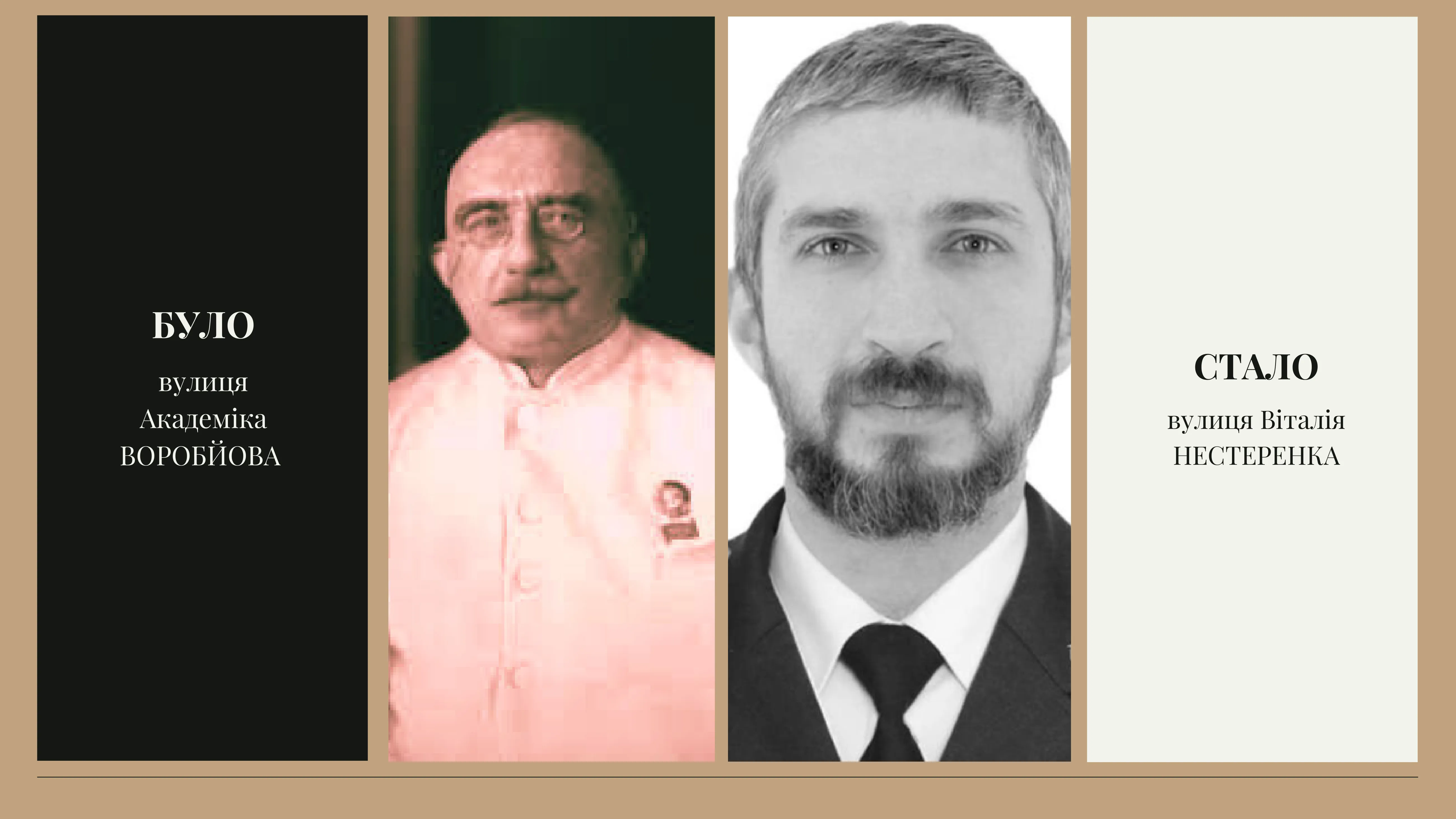 вулиця Віталія Нестренка